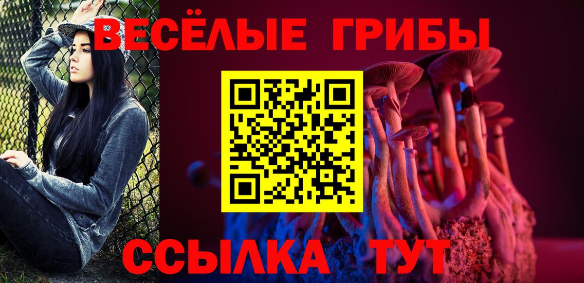 Чайковский  Псилоцибиновые грибы мицелий  Галлюциногенные грибы мухоморы  Вход с VPN 